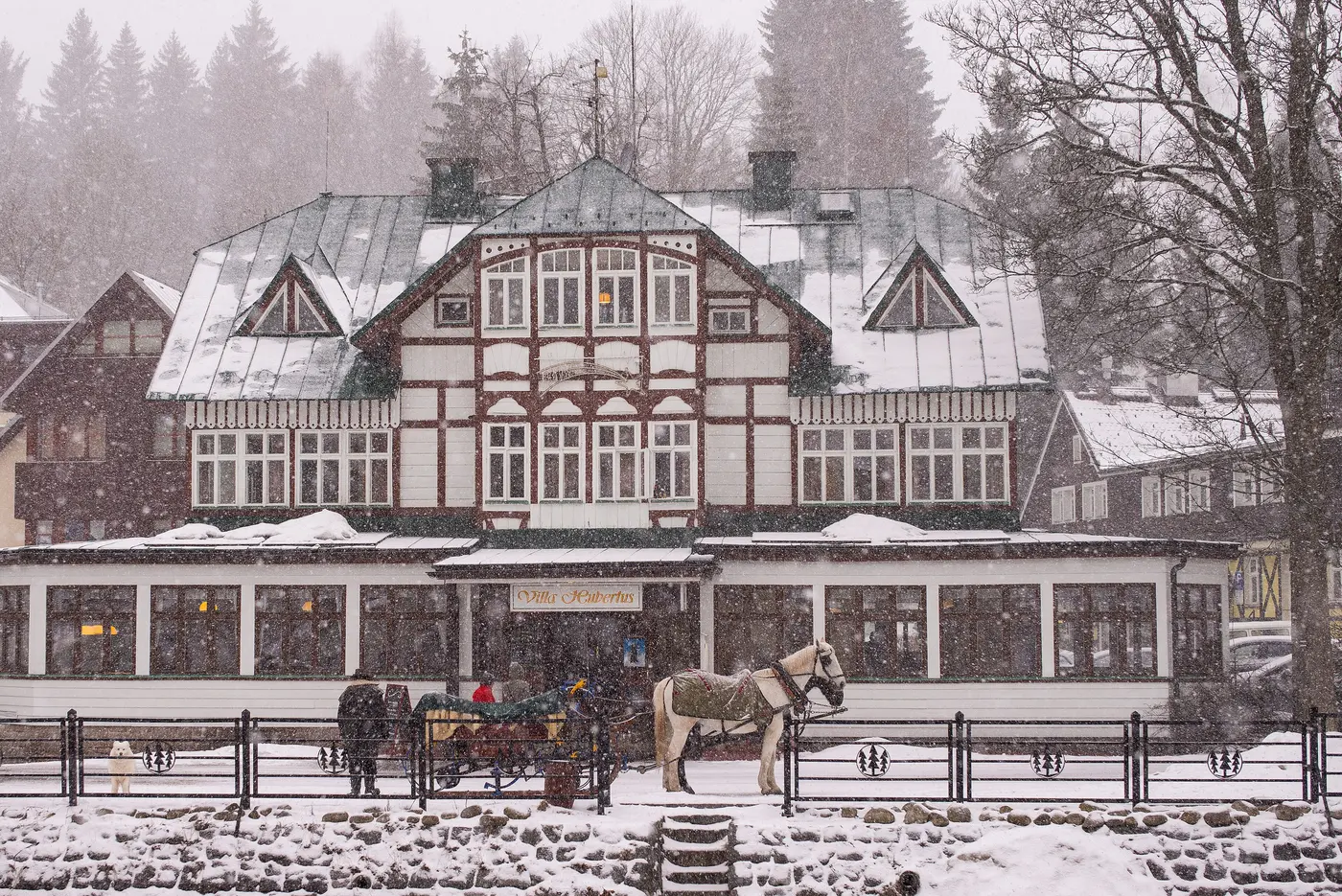 Villa Hubertus w centrum Špindlerova Mlýna w śnieżycy, przed nią sanie konne